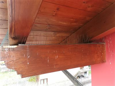 Posa rete antivolatile travi tetto con impiego di piattaforma aerea